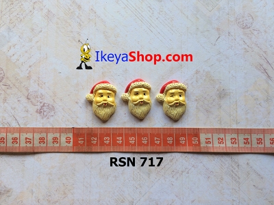 rsn 717  large2